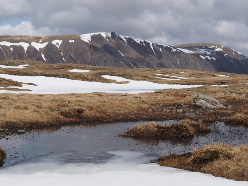 Cairngorms_plateau_south_of_Braeriach.jpg