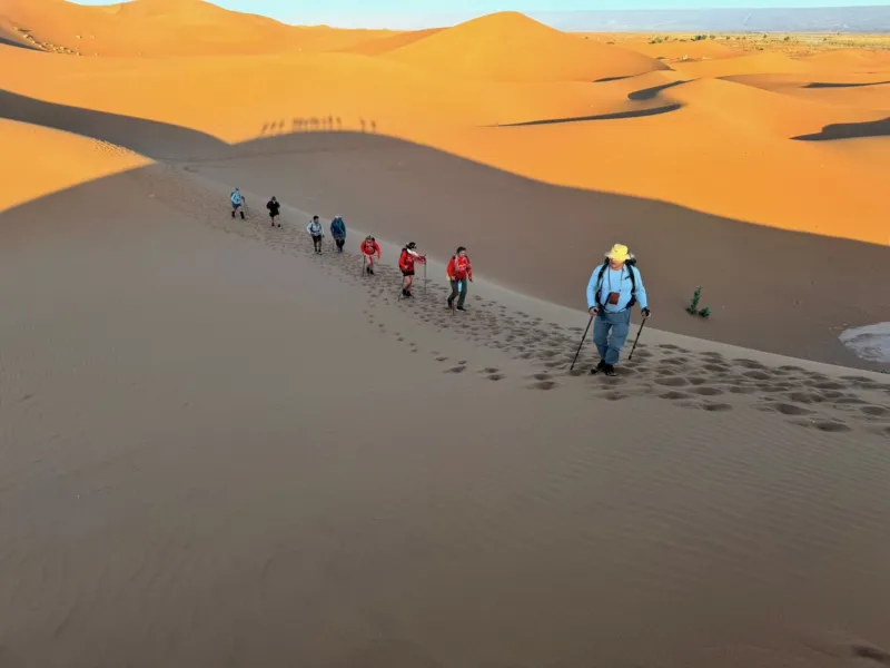good_walking_sahara_2.jpeg