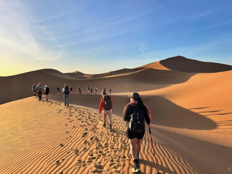 good_walking_sahara.jpeg