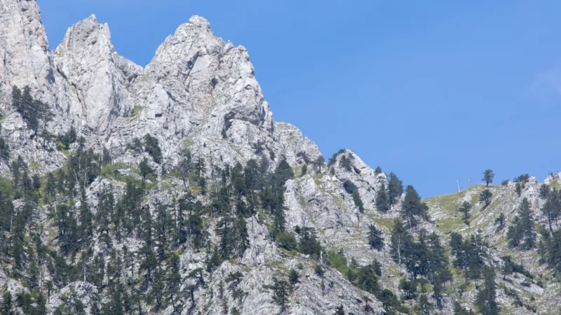 TT_montenegro2_c.jpg