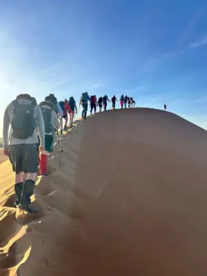 dunes_sahara.jpeg
