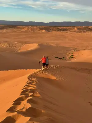 good_sahara_pose.jpeg