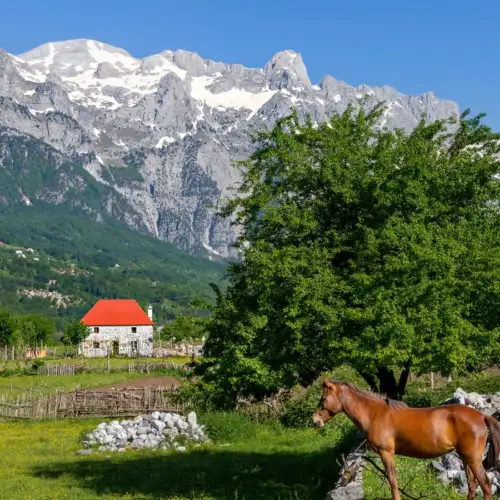 View this trip - Montenegro & Albania: Balkan Trails