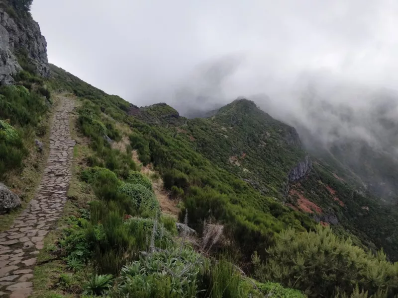 Madeira-tribal-tracks-5-2.jpg