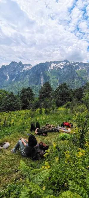 montenegro_tribal_tracks.jpeg