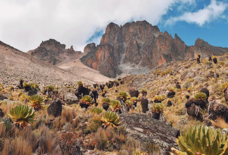 Mount Kenya - In Search of the Lost World - Tribal Tracks Tour Guide