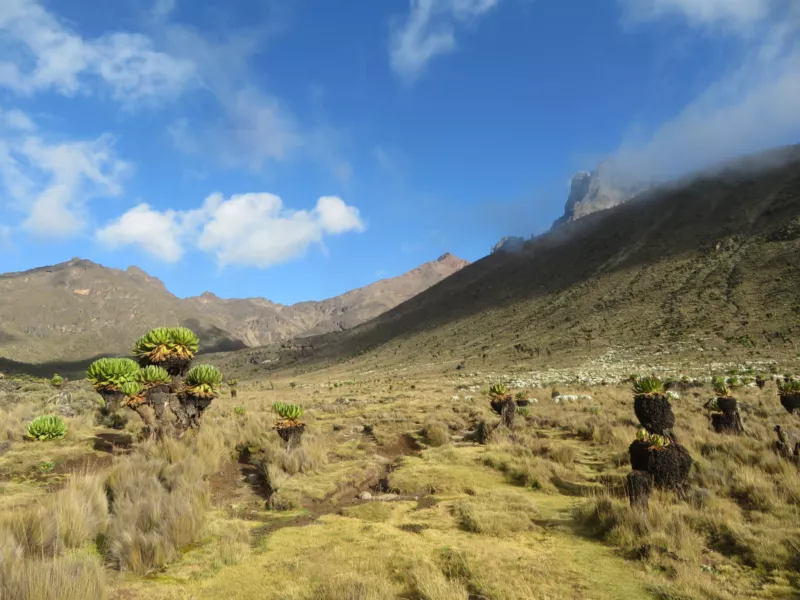 Mount-Kenya-6.jpg