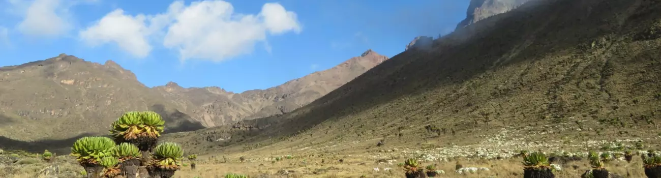 View this trip - Mount Kenya Summit
