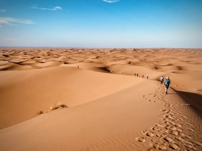 Trekkers-desert.jpg