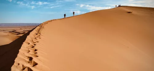 View Trips - Desert