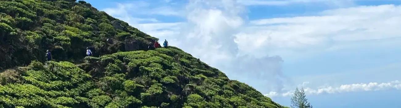 View  Getting your ETA (visa) for Sri Lanka