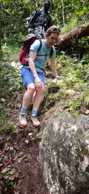 terrain_down.jpg