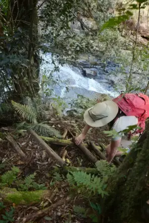 terrain_ladder.jpg