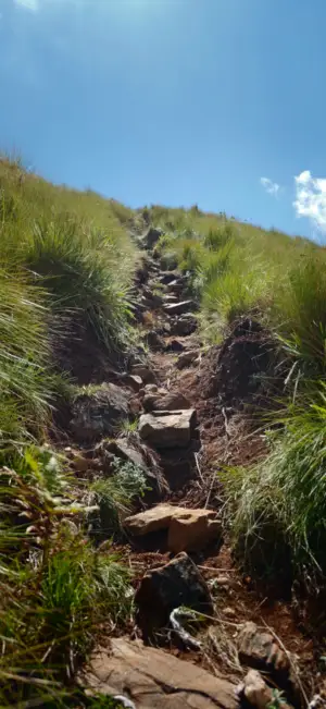 uphill_terrain.jpg