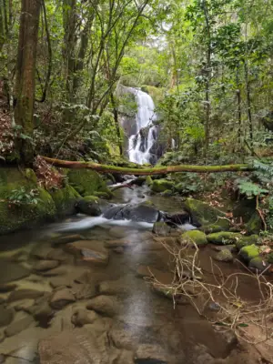 waterfall.jpg
